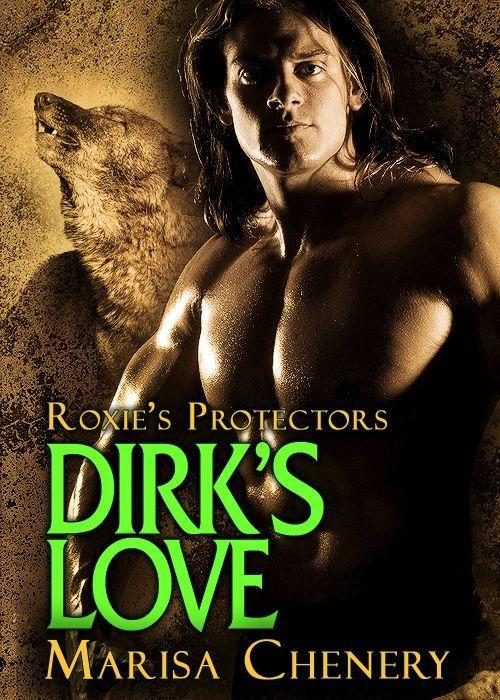 Обложка книги «Dirk's Love»