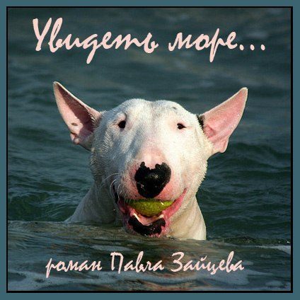 Обложка книги «Увидеть море»