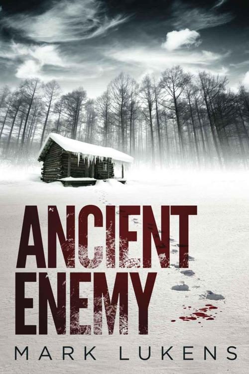 Обложка книги «Ancient Enemy»
