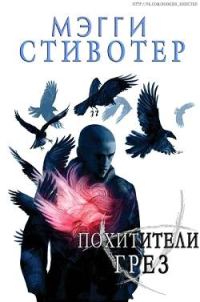 Обложка книги «Похитители грёз»
