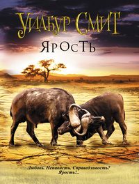 Обложка книги «Ярость»