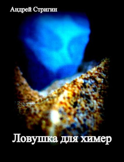 Обложка книги «Ловушка для химер»