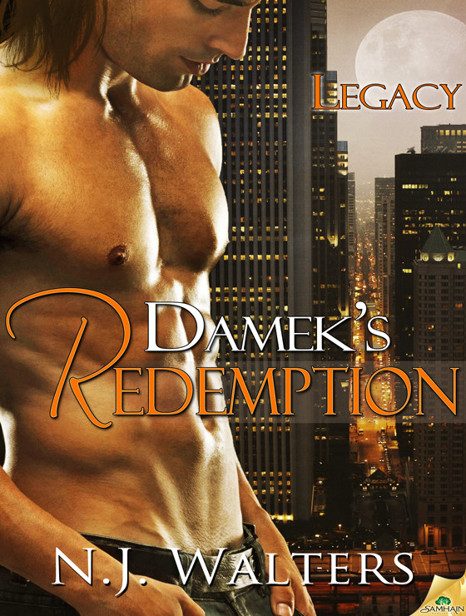 Обложка книги «Damek's Redemption»