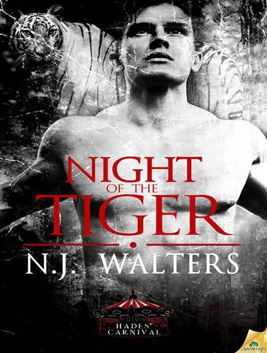 Обложка книги «Night of the Tiger»