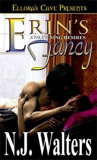 Обложка книги «Erin's Fancy»