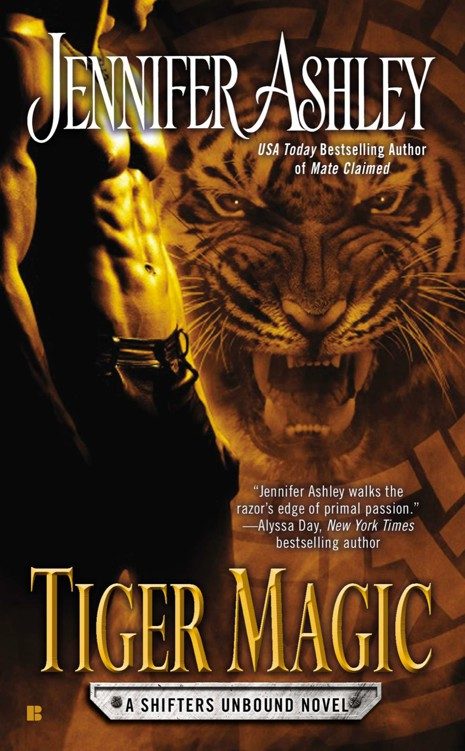 Обложка книги «Tiger Magic»