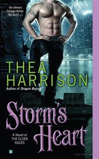 Обложка книги «Storm's Heart»