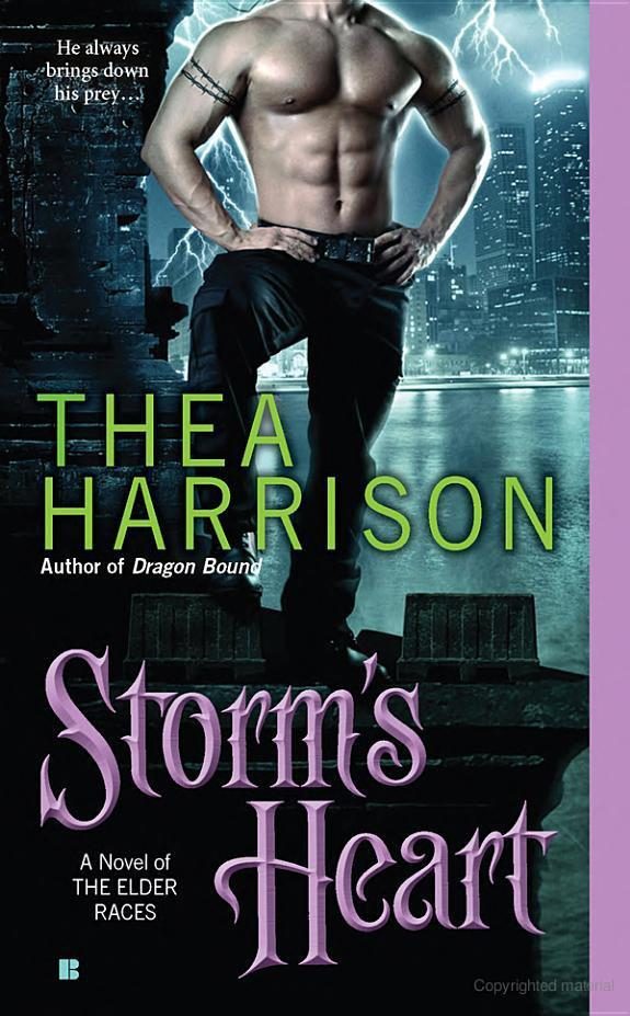 Обложка книги «Storm's Heart»