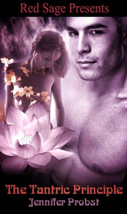 Обложка книги «The Tantric Principle»