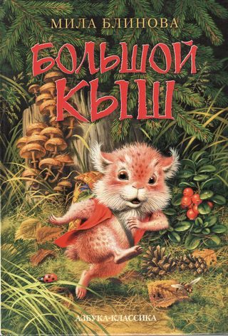 Обложка книги «Большой Кыш»