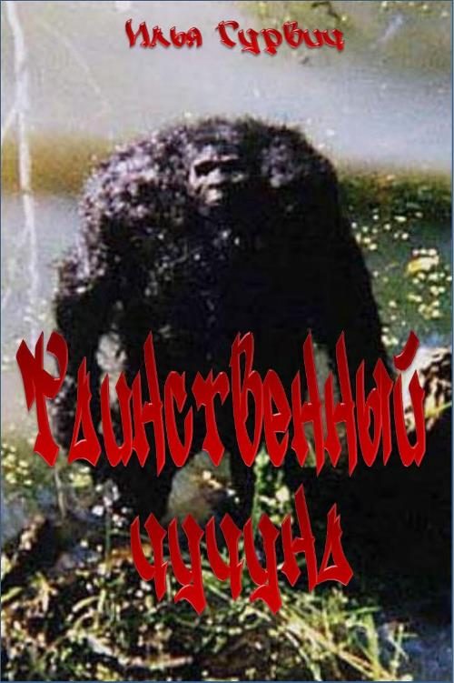Обложка книги «Таинственный чучуна»
