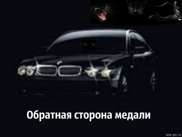 Обложка книги «Обратная сторона медали (СИ)»