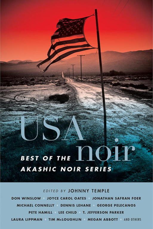 Обложка книги «USA Noir: Best of the Akashic Noir Series»