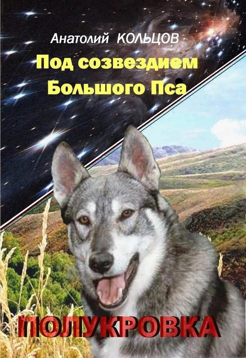 Обложка книги «Полукровка»
