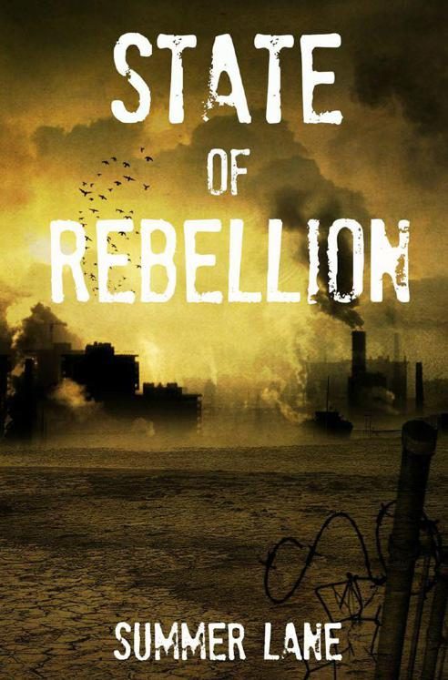 Обложка книги «State of Rebellion»