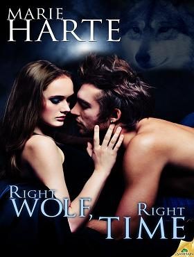 Обложка книги «Right Wolf, Right Time»