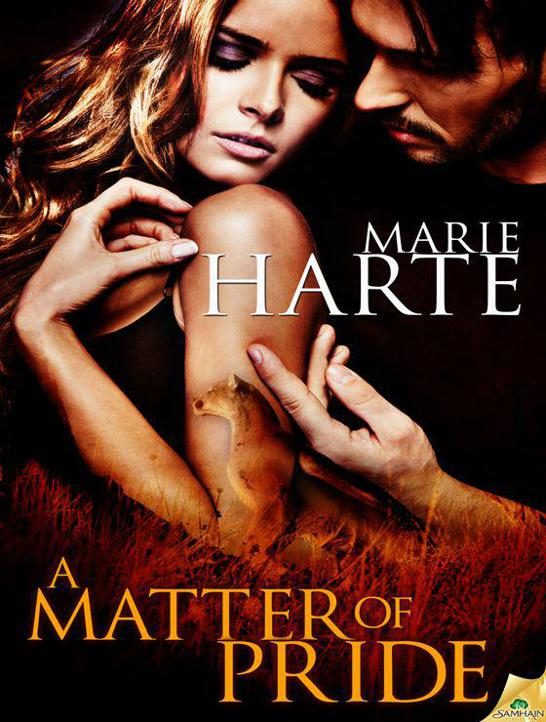 Обложка книги «A Matter of Pride»