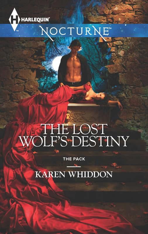 Обложка книги «The Lost Wolf's Destiny»