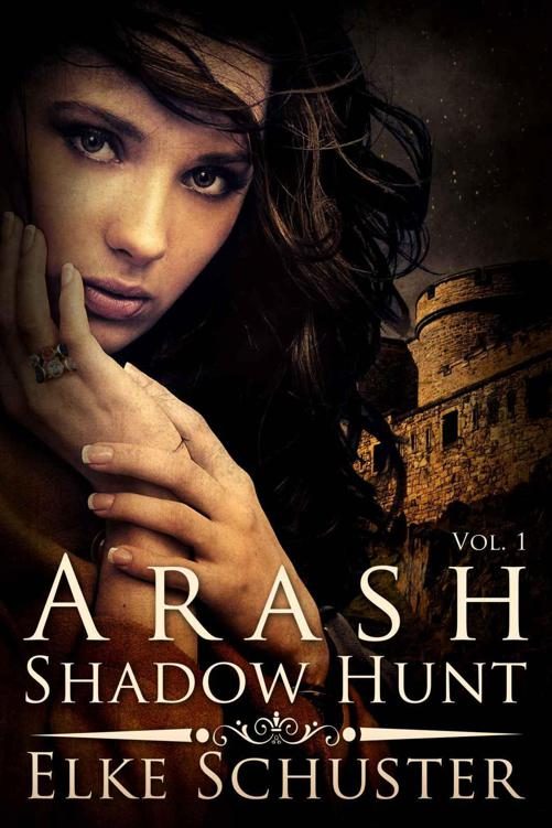 Обложка книги «Arash: Shadow Hunt»