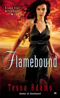 Обложка книги «Flamebound»