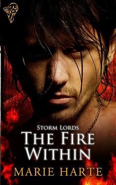 Обложка книги «The Fire Within»