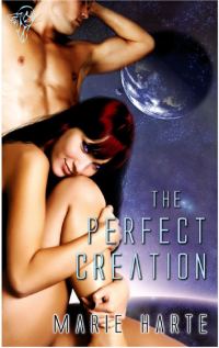 Обложка книги «The Perfect Creation»