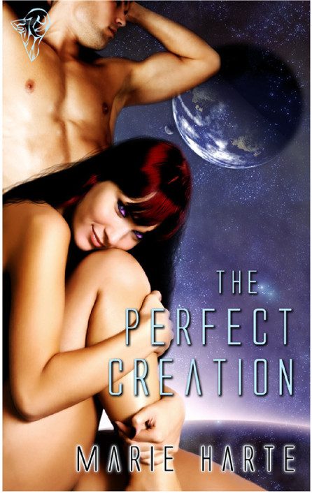 Обложка книги «The Perfect Creation»
