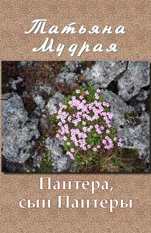 Обложка книги «Пантера, сын Пантеры»