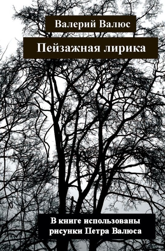Обложка книги «Пейзажная лирика»