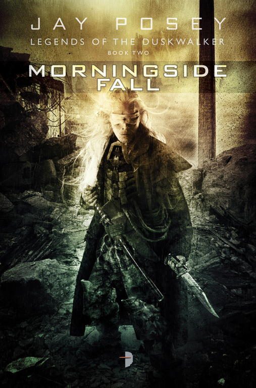 Обложка книги «Morningside Fall»