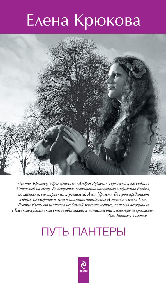Обложка книги «Путь пантеры»