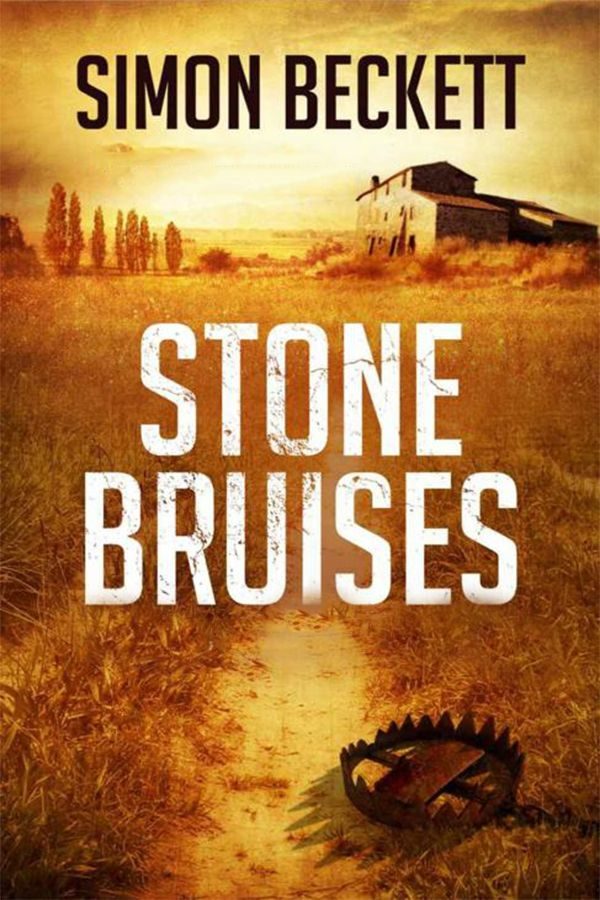 Обложка книги «Stone Bruises»