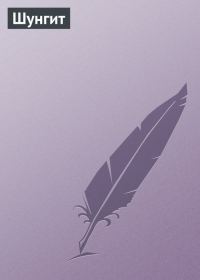 Обложка книги «Шунгит»