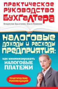 Обложка книги «Налоговые доходы и расходы предприятия : как минимизировать налоговые платежи»
