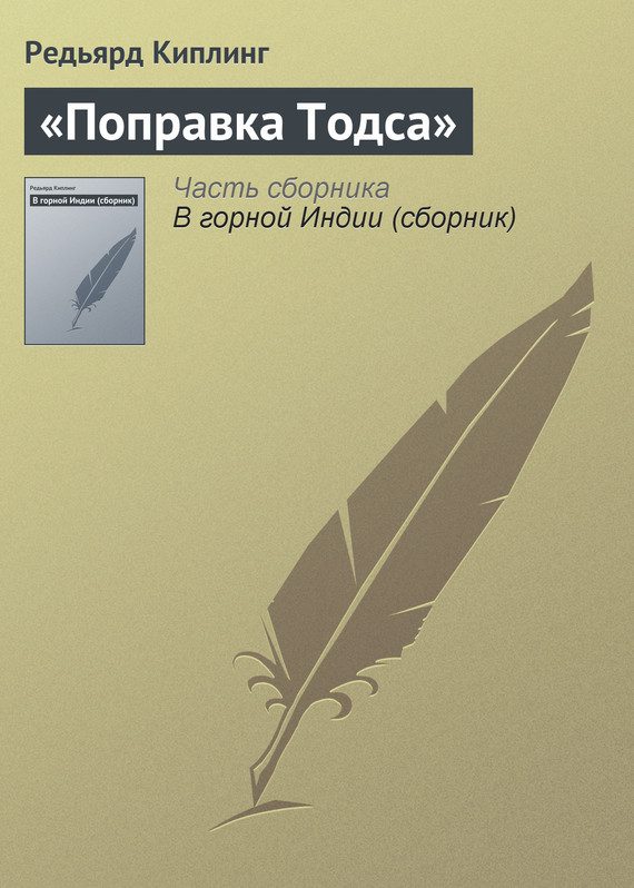 Обложка книги «Поправка Тодса»