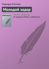 Обложка книги «Молодой задор»