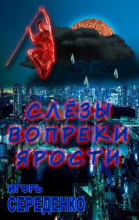 Обложка книги «Слёзы вопреки ярости»