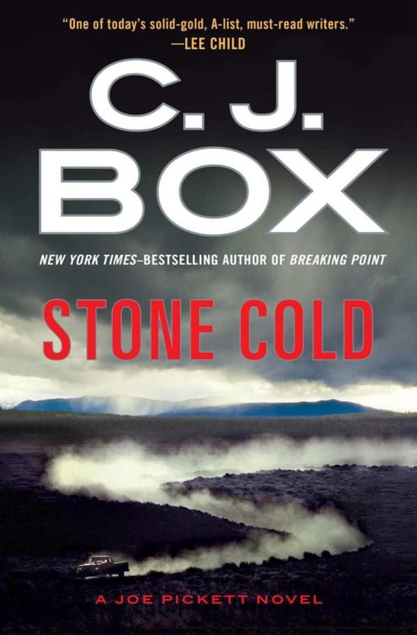 Обложка книги «Stone Cold»