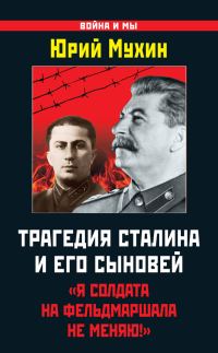 Обложка книги «Трагедия Сталина и его сыновей»
