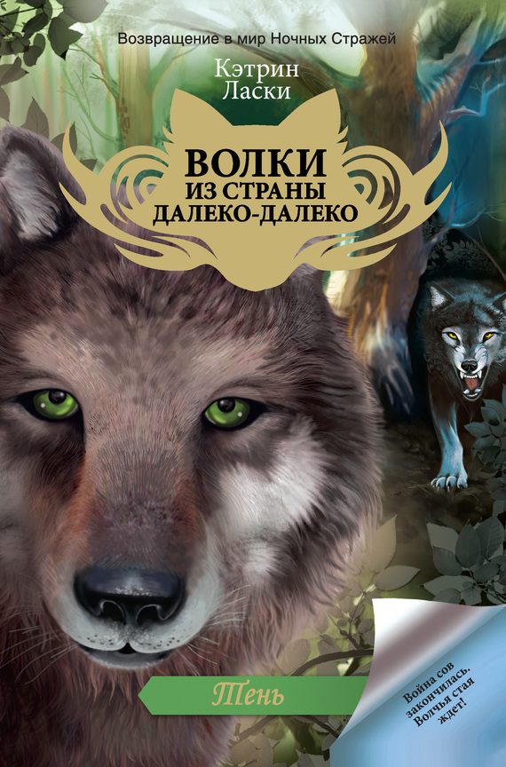 Обложка книги «Тень»
