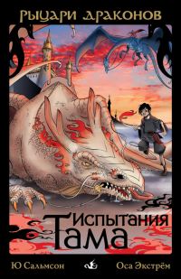 Обложка книги «Испытания Тама»
