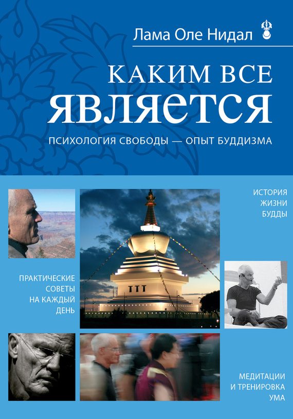 Обложка книги «Каким все является»