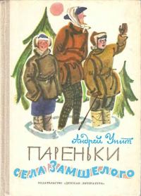 Обложка книги «Пареньки села Замшелого»