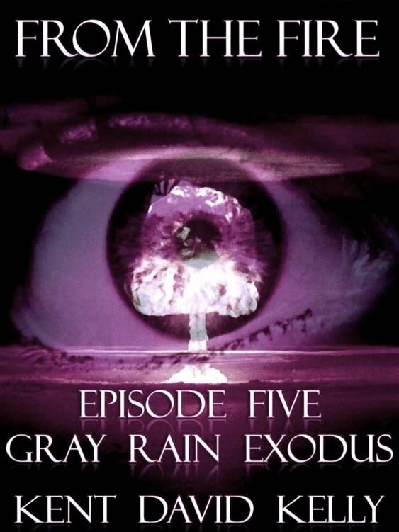 Обложка книги «Gray Rain Exodus»