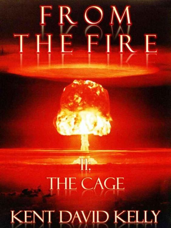 Обложка книги «The Cage»
