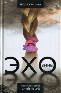 Обложка книги «Эхо вины»