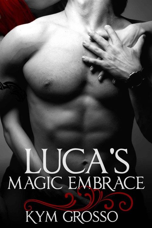 Обложка книги «Luca's Magic Embrace»