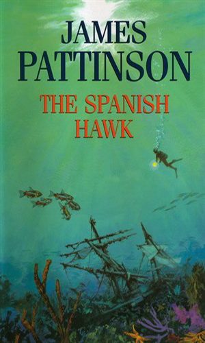 Обложка книги «The Spanish Hawk»