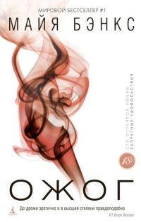 Обложка книги «Ожог»