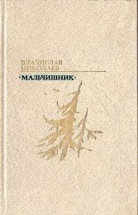 Обложка книги «Мальчишник»